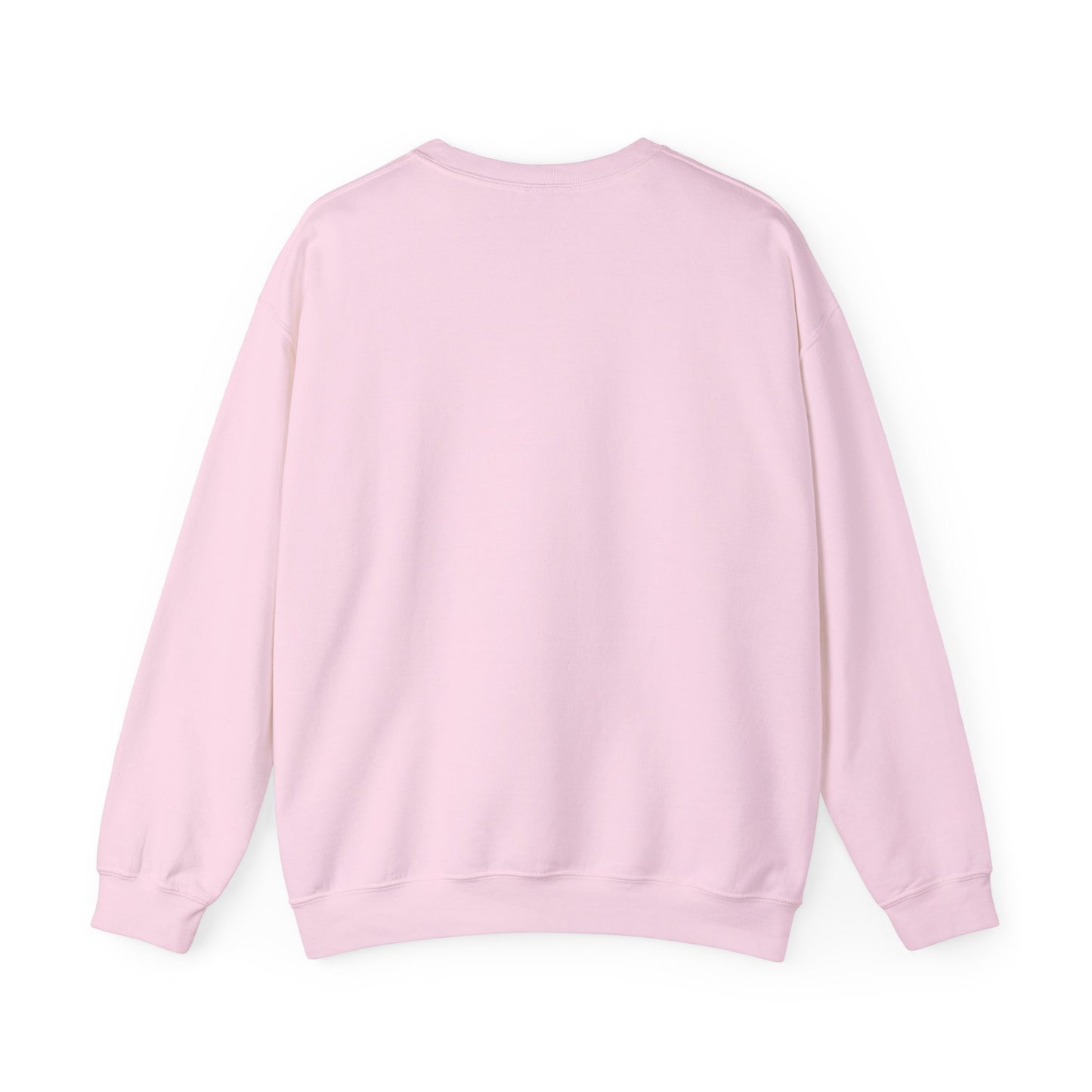 Meet the Twins Sweatshirt - Pre-oder